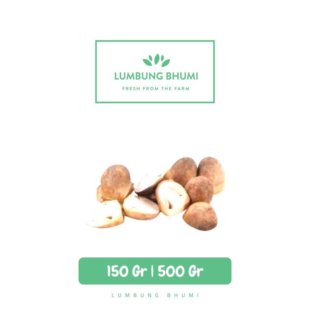 

Jamur Merang Sayur - Lumbung Bhumi