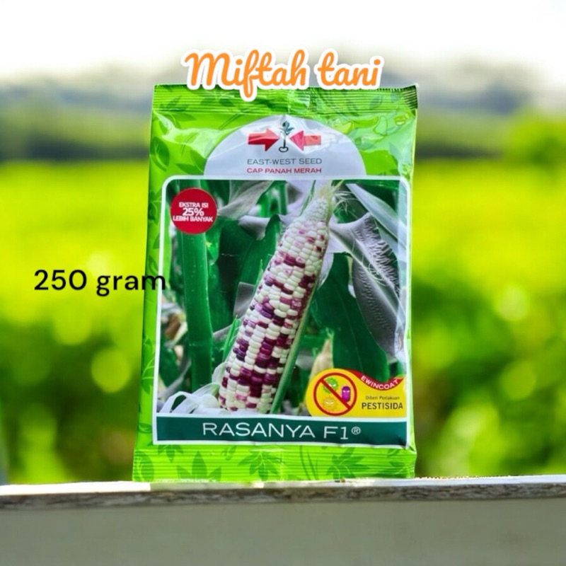 RASANYA F1,CAP PANAH MERAH, BIBIT JAGUNG PULUT