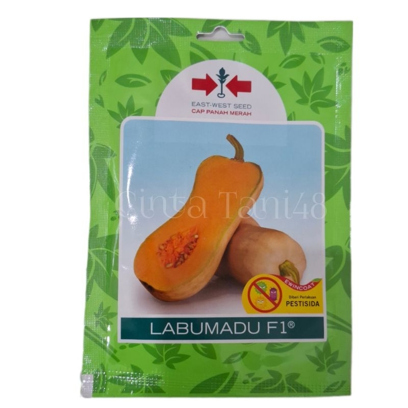 Benih waluh LABU MADU F1 cap panah merah