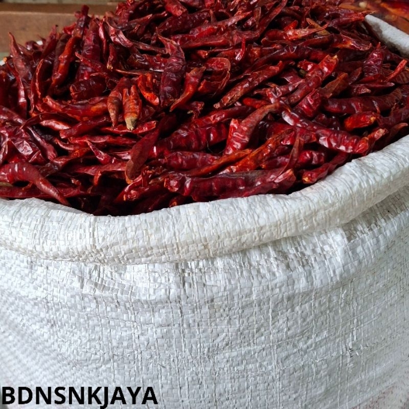 

JKL cabe kering rawit teja merah pedas india