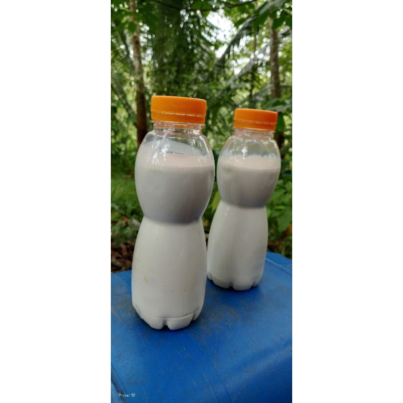 Getah Karet Vair Asli Murni 100%, buat bundel Lem/Pulut burung/Pekat busa kasur