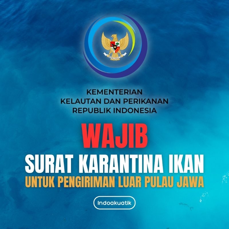 

SURAT KARANTINA - WAJIB UNTUK PENGIRIMAN LUAR PULAU JAWA