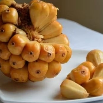 

Buah asam cikala//rempah khas Medan//asli Medan//250gr