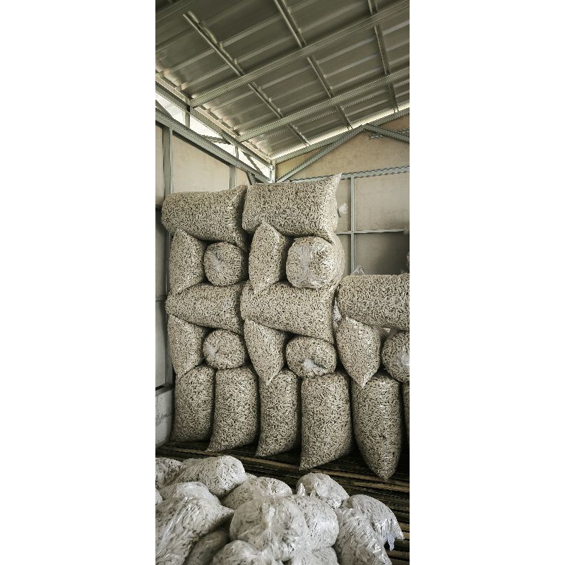 

Basreng stik dan koin 20 kg