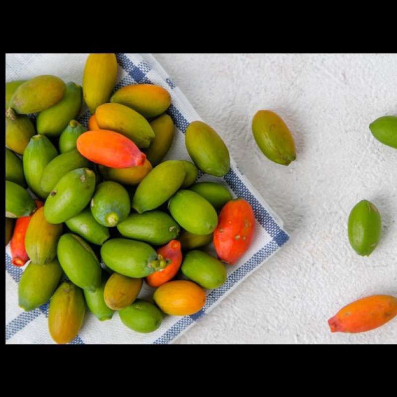 

Kulit Melinjo Mentah Cocok Untuk Sayur