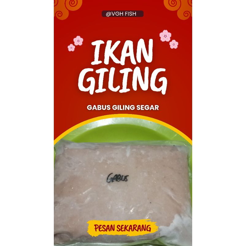

ikan gabus giling