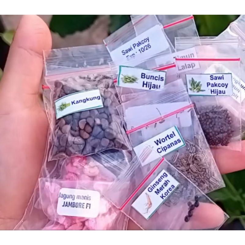 

benih sayur kangkung