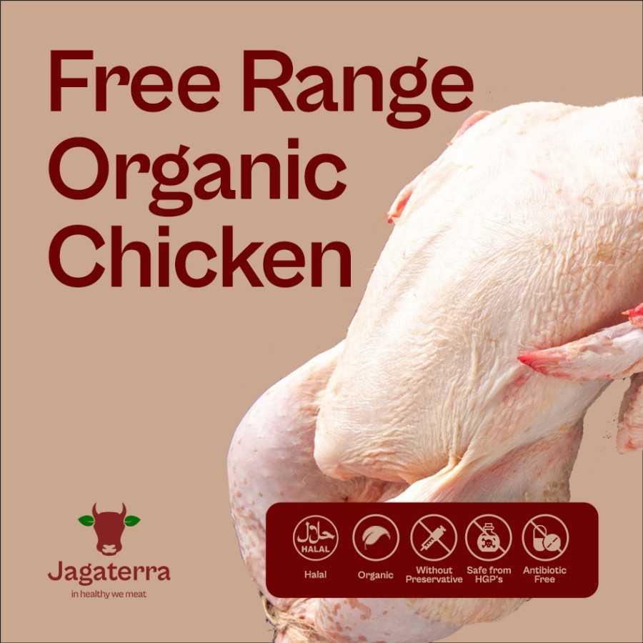 

Organic Free Range Chicken Brocock - Ayam Kampung Organik