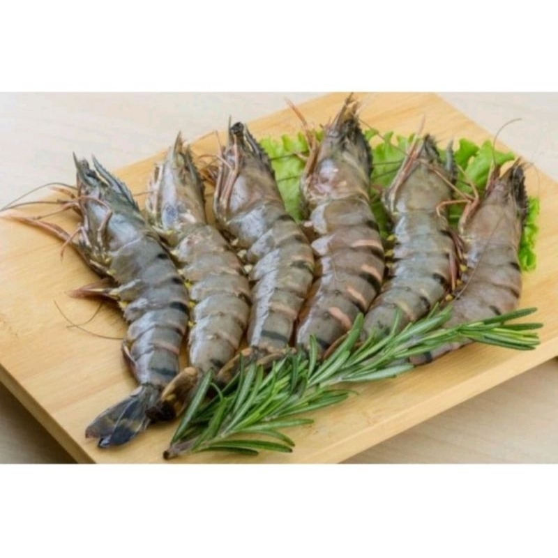 

Udang besar segar 250gr..