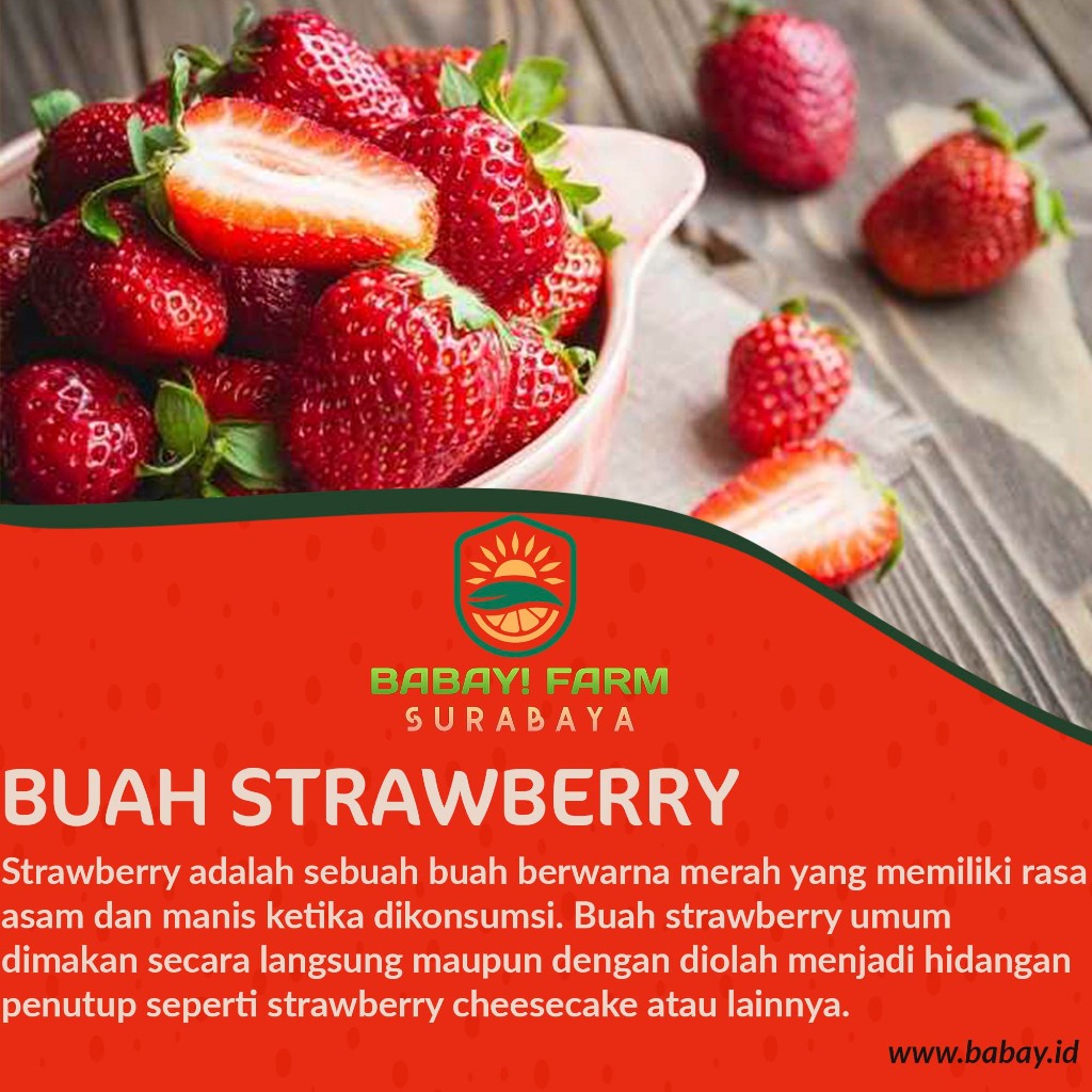 

Buah Strawberry Strawberi Lokal 1 kg / Stroberi per pack