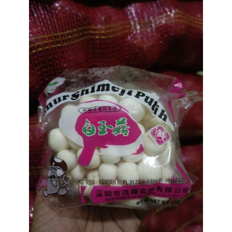 

jamur shimeji putih 1 pack