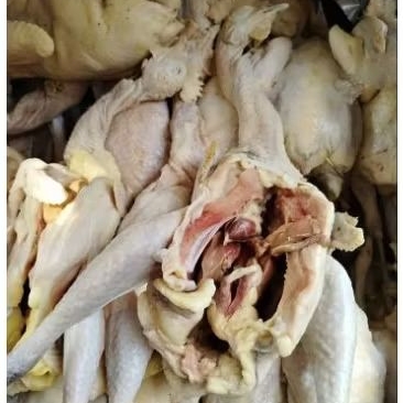 

ayam kampung ukuran 8ons . langsung potong insya allah sesuai dengan syariat karna peternakan sendiri