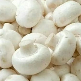 

Jamur kancing fresh kualitas terbaik//jamur champion//150gr