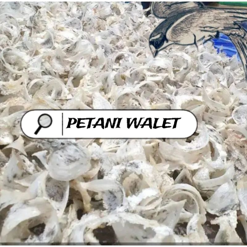 

SARANG WALET KOTOR PUTIH KAPASHARGA PER 100 GRAM