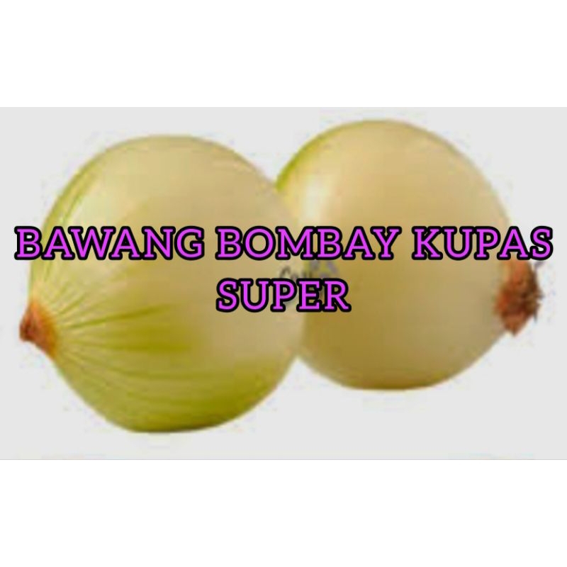 

BAWANG BOMBAY KUPAS SEGAR RP. 30.000 / KG