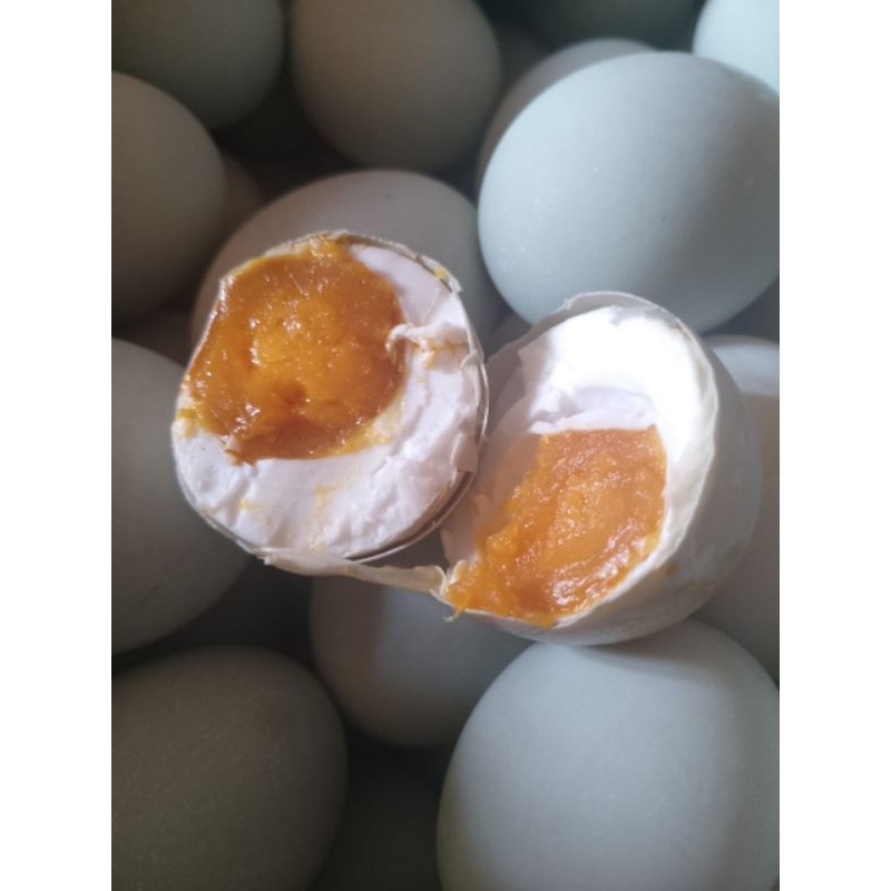 

TELUR ASIN BREBES MASIR BERMINYAK OMEGA 3
