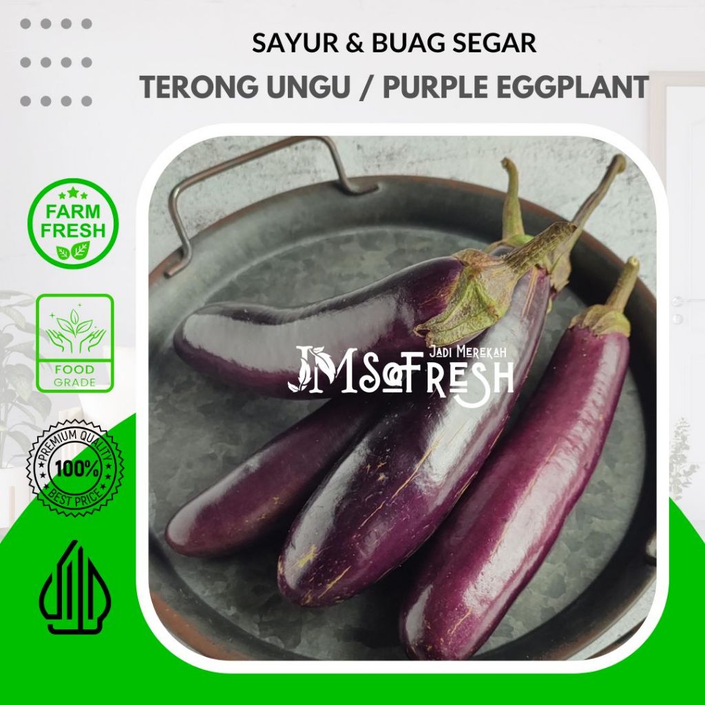 

[JM SoFresh] Terong Ungu 500 Gram Segar dan Fresh Organik / Purple Eggplant 500 Gram