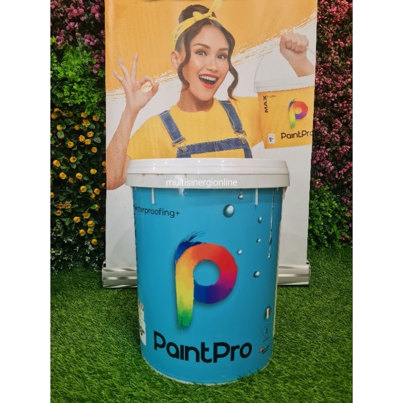 Cat Tembok PaintPro Protech Waterproofing (anti bocor) 20kg