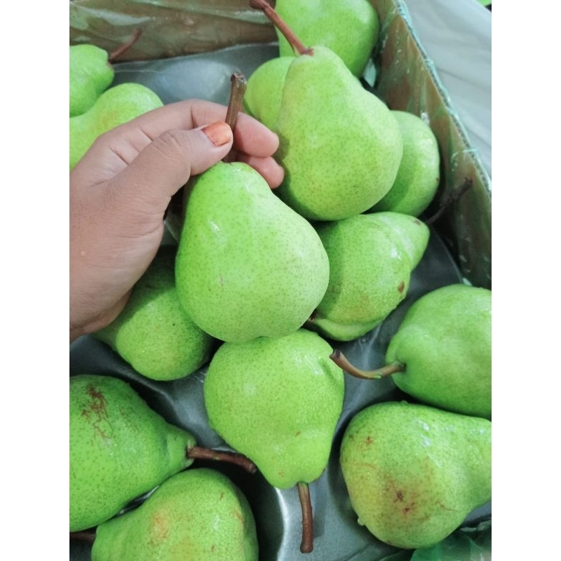 

buah pir packam dan xiangli