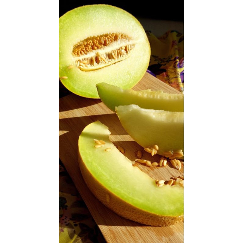 MURAHH 15+ BIBIT BENIH MELON MADU HIJAU SUPER