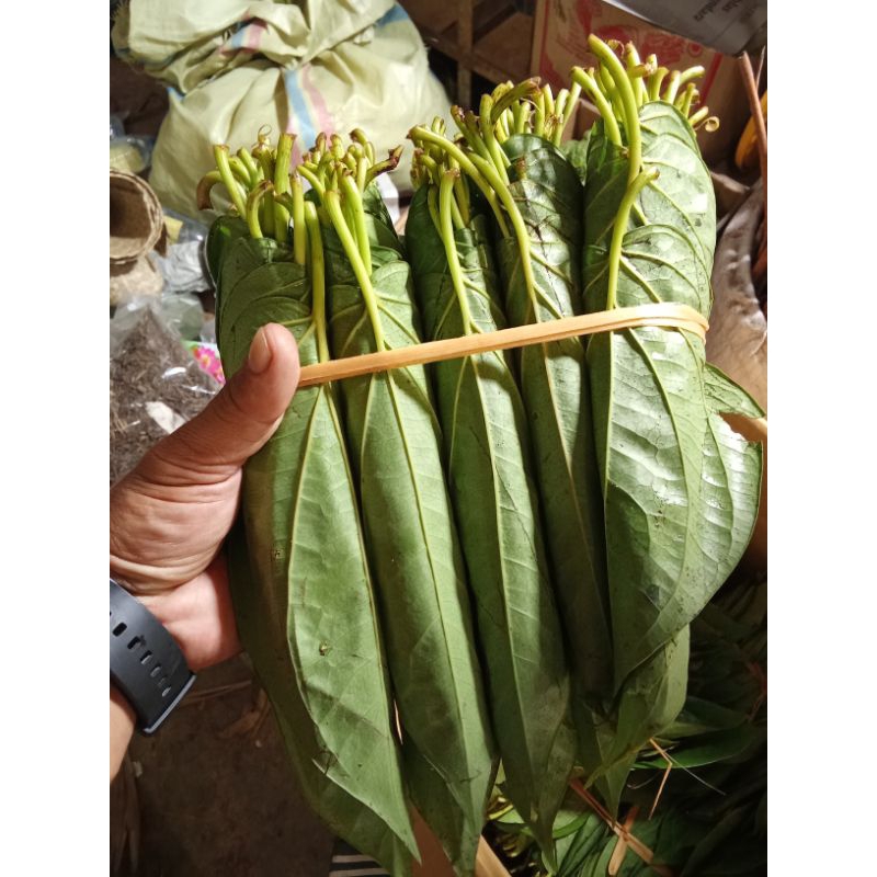 

SIRIH KARO ENAK SEGER CANTIK PER 1 IKAT ISI 5 KEPIT