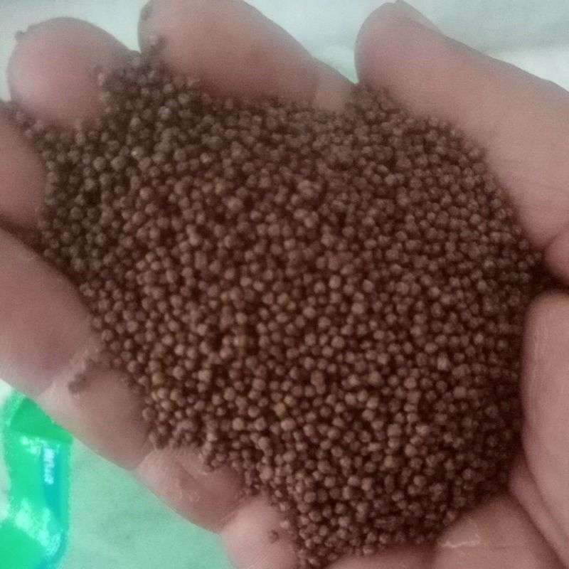 PAKAN BENIH IKAN PF500, PF800, PF1000 (PREMA FEED)