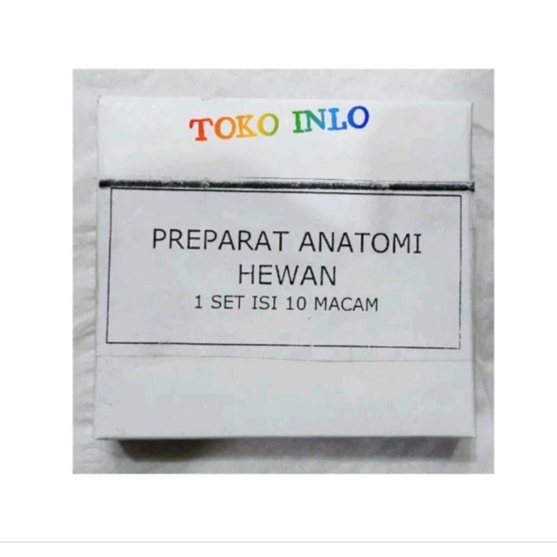 Preparat Anatomi Hewan 1 Set isi 10 Macam/Preparat Hewan/Preparat Hewan 1 Set/Awetan Hewan