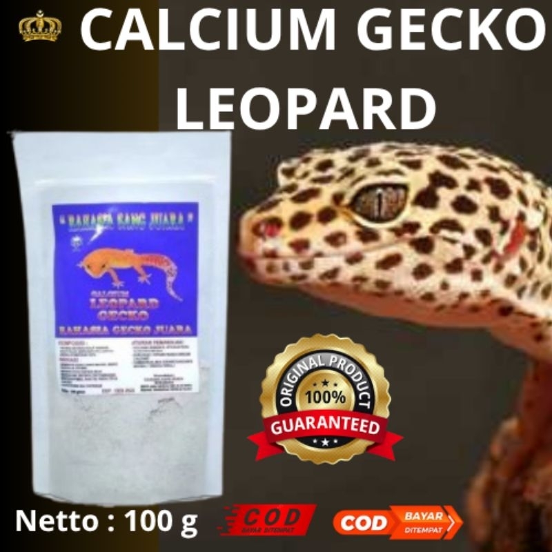 CALCIUM GECKO LEOPARD
