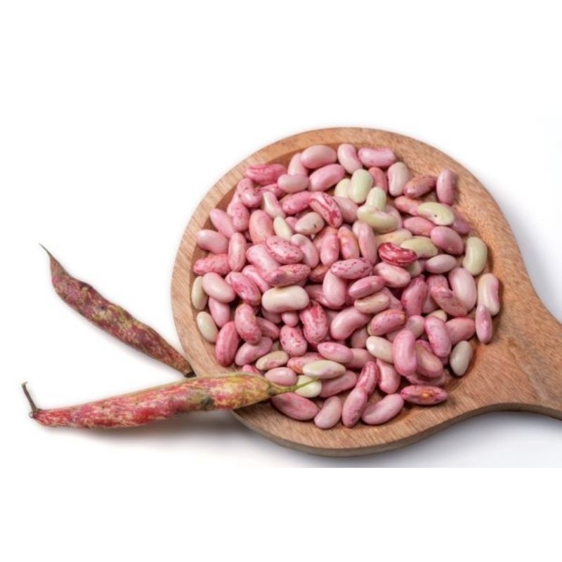 

Kacang Merah Segar 1kg