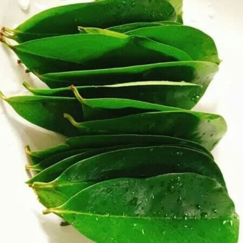 

DAUN SIRSAK HERBAL FRESH DARI POHON