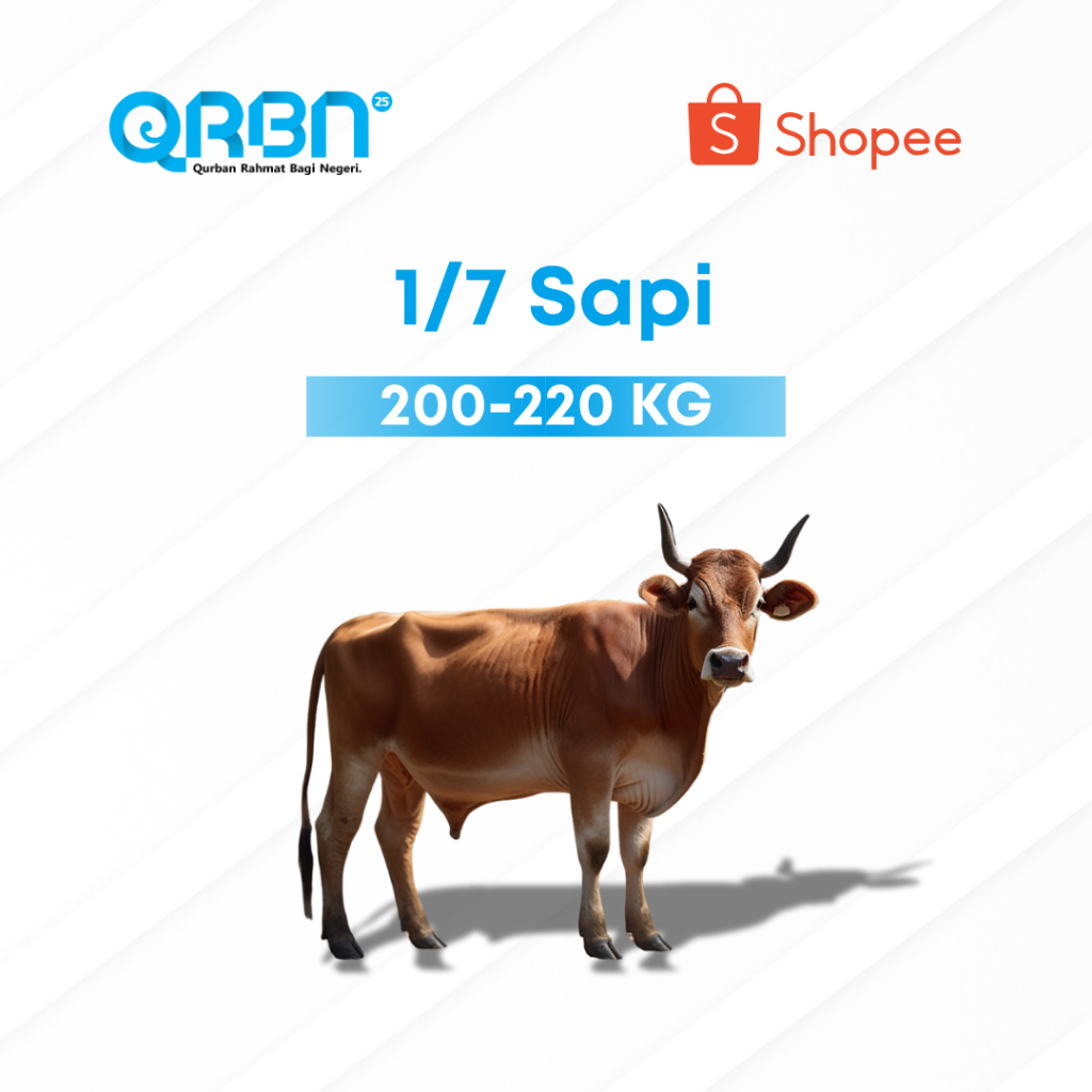 

Sahabat Yatim - Qurban Nusantara 2025 - Kurban 1/7 Sapi