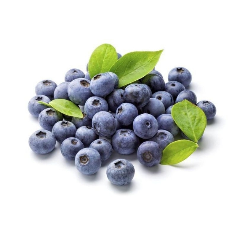 

Benih Buah Blueberry Import – Premium Quality, Mudah Tumbuh & Siap Panen!