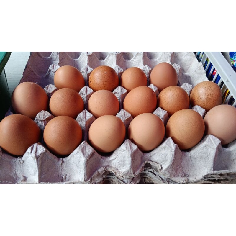 

TELUR AYAM NEGERI 10 PCS/TELUR AYAM FRESH