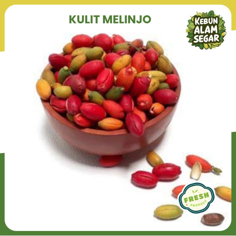 

KULIT MELINJO TANGKIL MENTAH SEGAR 200 GRAM