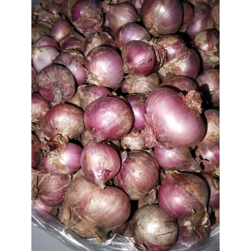 

Bawang merah super murah