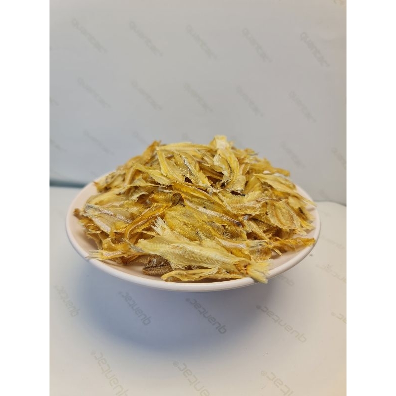 

Ikan kalapan tawar mentah kering siap goreng