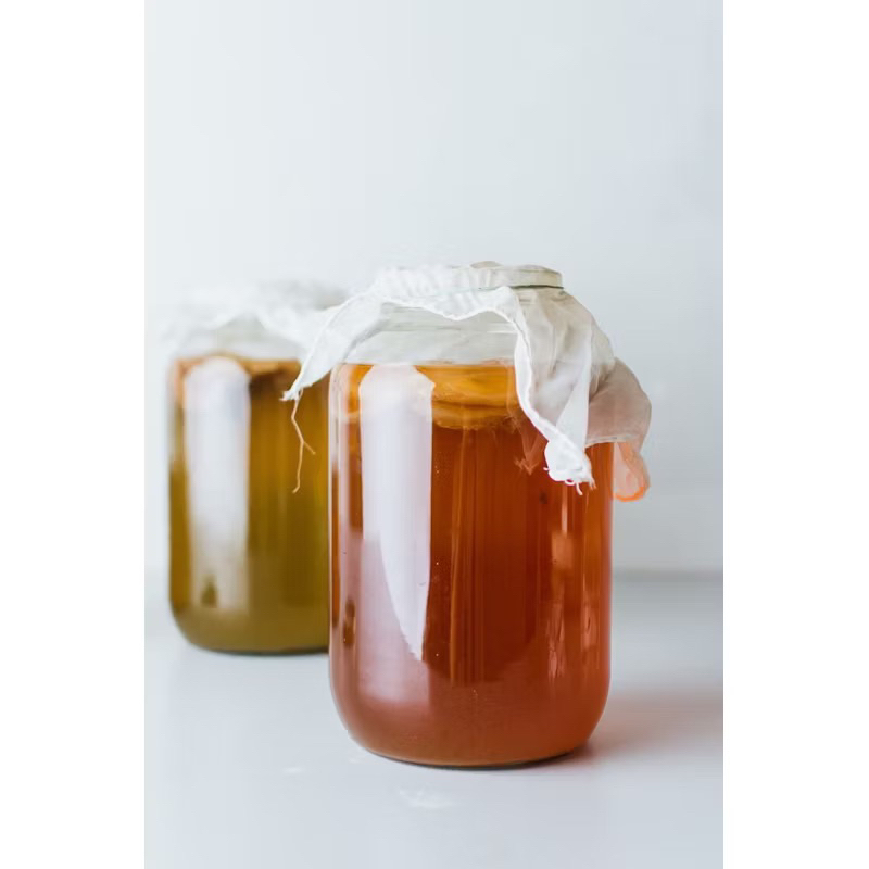 

‼️SCOOBY KOMBUCHA FREE STARTER ‼️homemade
