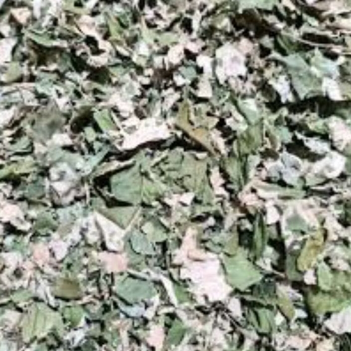 

Daun Bidara Kering 100 gram
