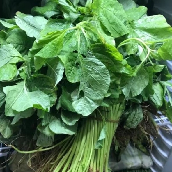 

Bayam hijau per Ikat fresh