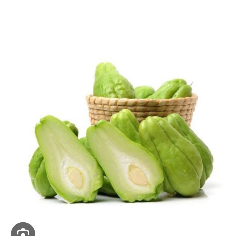 

LABU JIPANG KECIL/ ANAK JIPANG