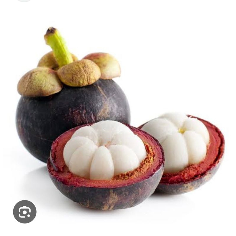 

BUAH MANGGIS