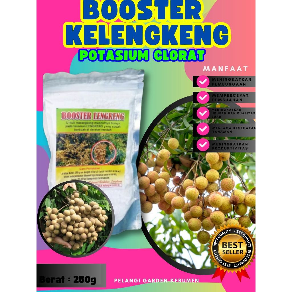 DIJAMIN ASLI  Pupuk Buah Kelengkeng Kcl03 Murni, Pupuk Buah Kelengkeng Kcl03 Murni