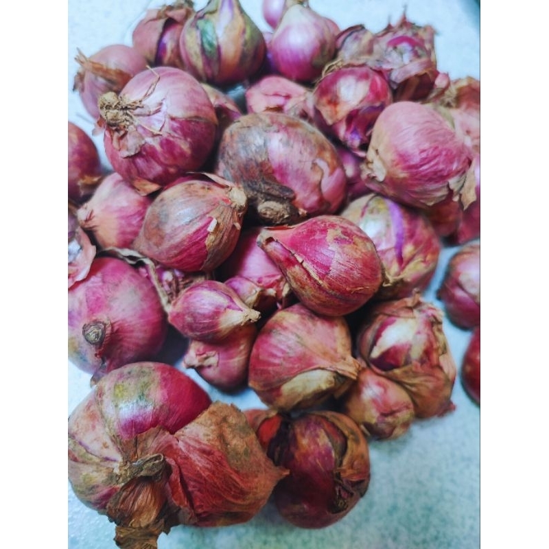 

Bawang merah lokal dominan ukuran besar besar