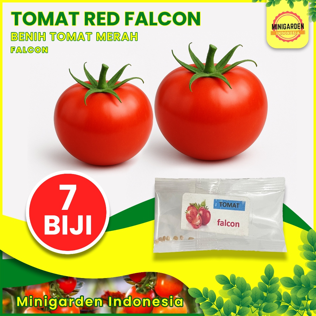 7 BIJI TOMAT FALCON benih bibit tomat merah red tomato sayur tomat hibrida