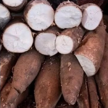 

Singkong Mentah 500 gram