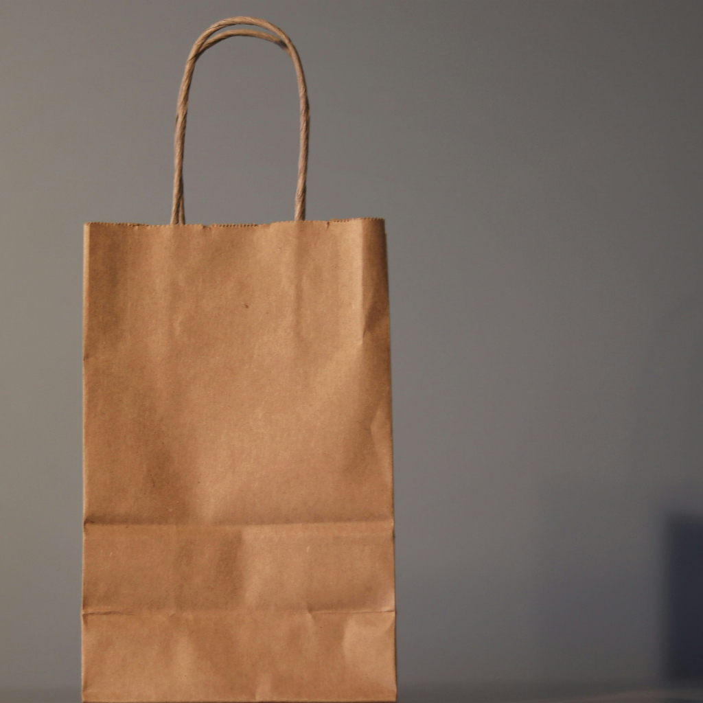 

Paper Bag Custom