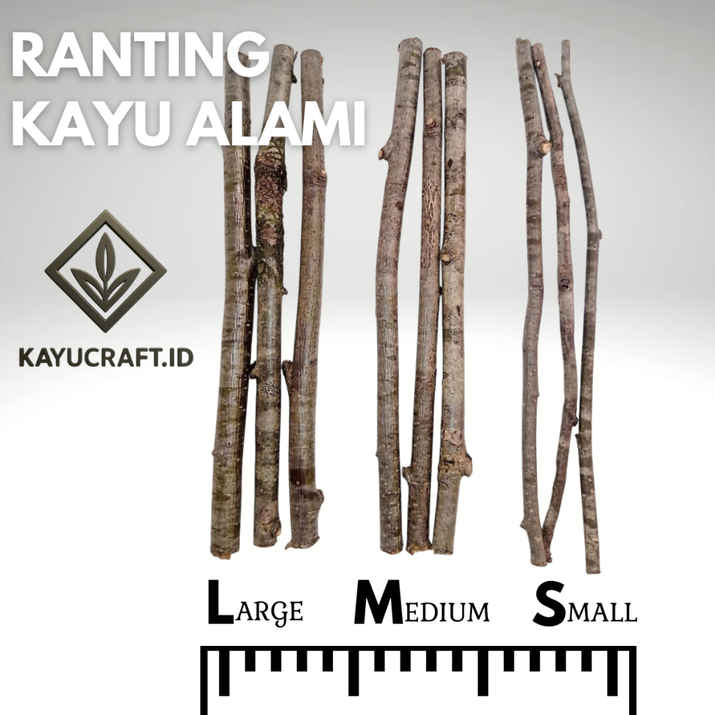 Ranting pohon | potongan ranting kayu asli | kayu bahan dekorasi dan kerajinan