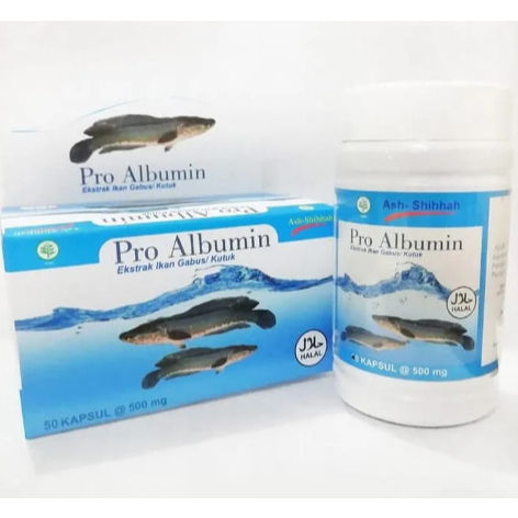 Pro Albumin Ekstrak Ikan Gabus Obat Herbal Kutuk