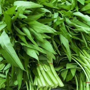

kangkung ikatan
