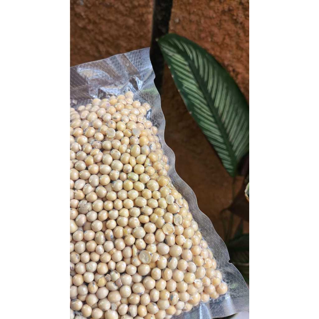 

Kacang Kedelai 250gr kemasan vakum